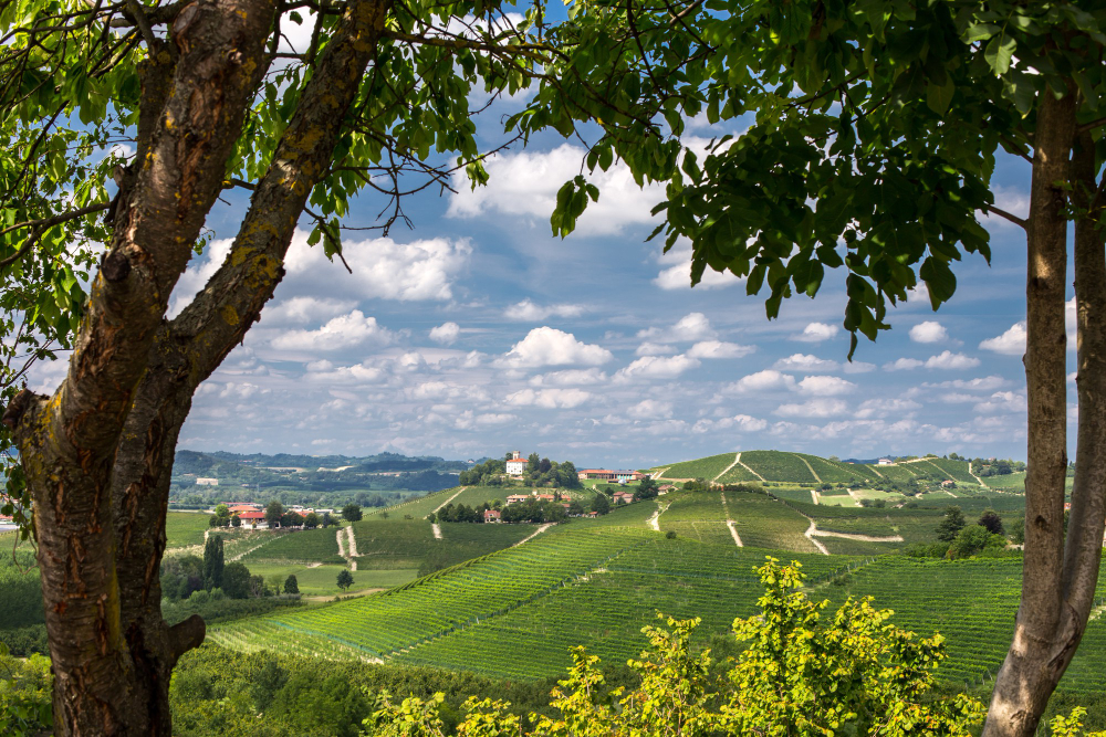 Castelele din Bavaria care par desprinse din basme
