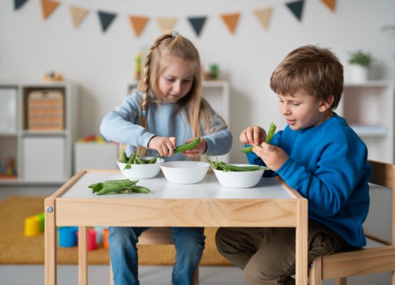 alimentatie sanatoasa gradinita