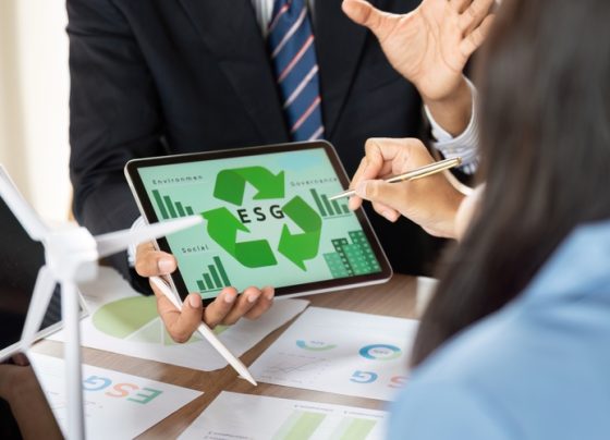 O imagine cu un start-up care lucreaza cu un consultant ESG